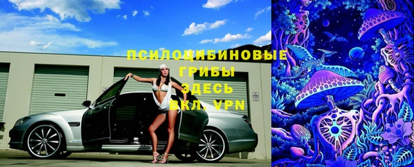 прущие грибы Пролетарск